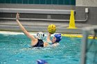 WWPolo vs CC  Wheaton College Women’s Water Polo compete in their sports inaugural match vs Connecticut College. - Photo By: KEITH NORDSTROM : Wheaton, water polo, inaugural